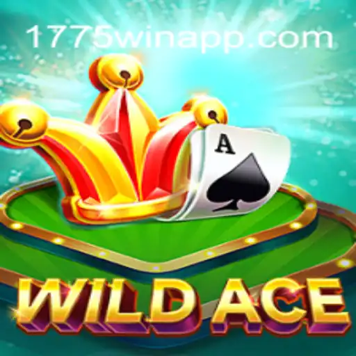 Exploring the WildAce Experience on 1775Win.com